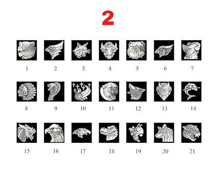 Sterling Silver 2025 Personalized Pattern Birthstone Engraved High School College Class Ring Gift for Men