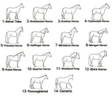 Sterling Silver Personalized Horse Name Pendant Necklace