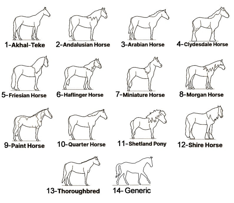 Sterling Silver Personalized Horse Name Pendant Necklace