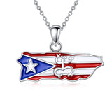 Sterling Silver Frog Puerto Rican Map Pendant Necklace