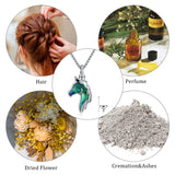 Sterling Silver Abalone Shell Horse Urn Necklace for Ashes