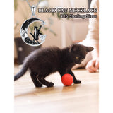 Sterling Silver Heart Birthstone Moon Star Black Cat Pendant Necklace