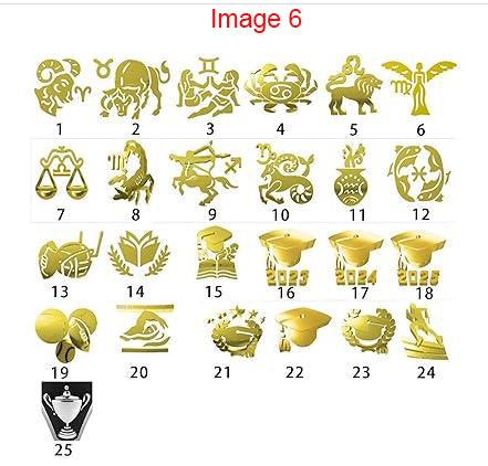 Sterling Silver Fully Personalized High School College Class Ring Graduation Ring