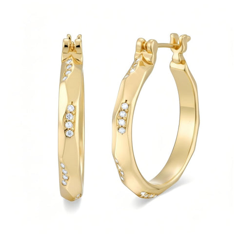 14K Gold Plated Trendy Elegant  Earring for Women