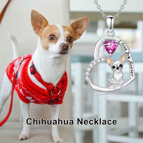 Sterling Silver 12 Month Birthstone Schnauzer Chihuahua Pitbull Pug Pendant Necklace for Women