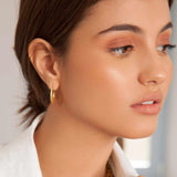 14K Gold Plated Lightweight & Small Hoop Earrings for Women