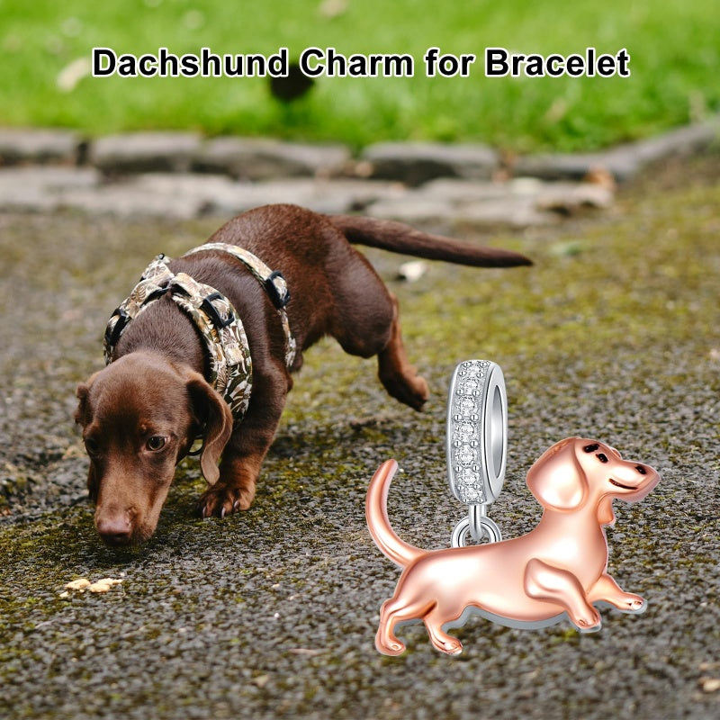 Sterling Silver Pit Bull Schnauzer Yorkie Corgi Dachshund Dog Charm Beads Fits Bracelets & Necklaces  for Women