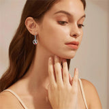 Sterling Silver Heart-Shaped Cubic Zircon Otter Cow Raccoon Leverback Earrings