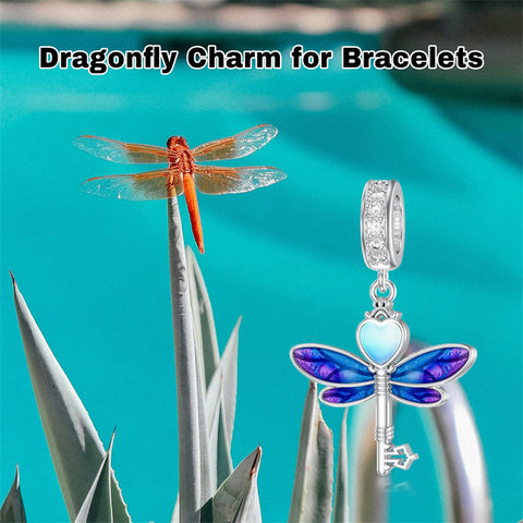 Sterling Silver Cubic Zircon Koala Pig Butterfly Scorpion Dragonfly Bead Charms