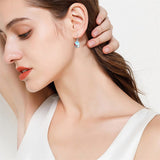 Sterling Silver Tiger Red Panda Elephant  Red Cardinal Dangle Earrings