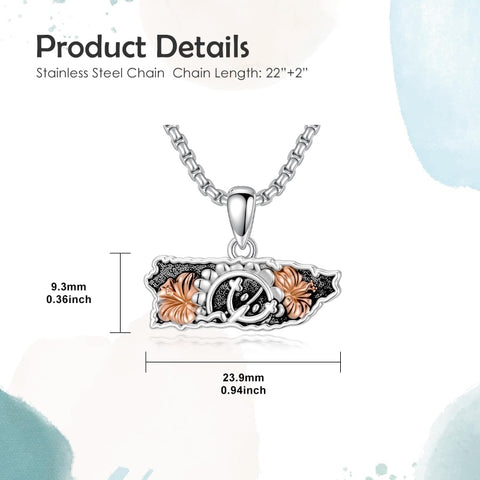 Sterling Silver Frog Flag Puerto Rico Pendant Necklace